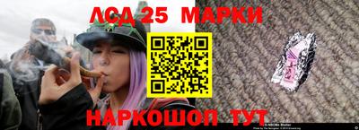 сатива Лесной