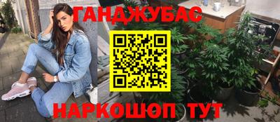 сатива Лесной