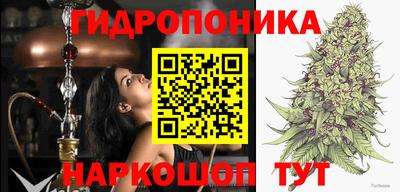 твердый Ленинск-Кузнецкий