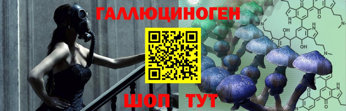 Псилоцибиновые грибы GOLDEN TEACHER Владимир
