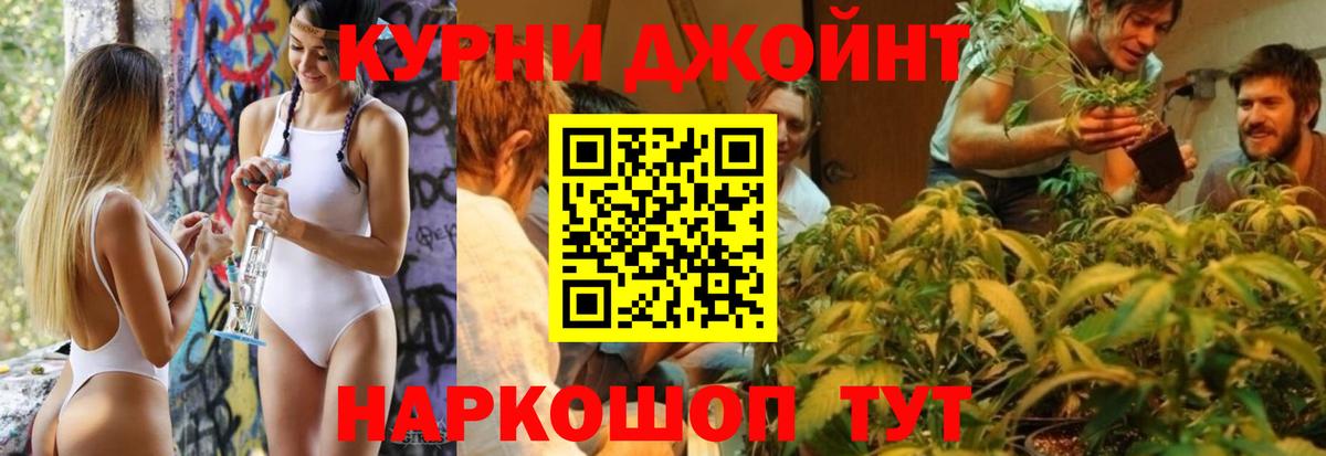 Бошки Шишки ГИДРОПОН  Конопля гибрид  Каннабис MAZAR  Владимир  Вход с VPN 